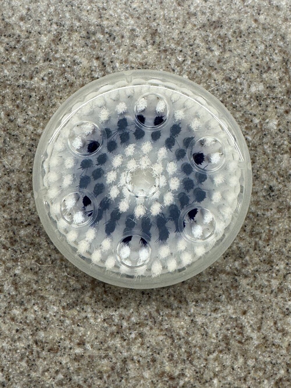 Clarisonic Smart Profile Turbo Massage Body Brush, (pre-2019)